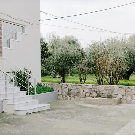 Aelia Prime Experience 1